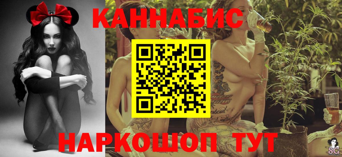 Каннабис планчик Ефремов
